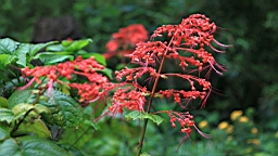 IMG_9786.JPG