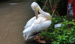 IMG_9789.JPG