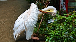 IMG_9790.JPG