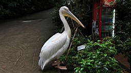 IMG_9792.JPG