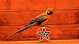 IMG_9798.JPG