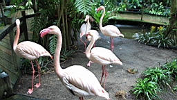 IMG_9804.JPG