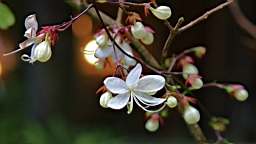 IMG_9817.JPG