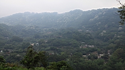IMG_9826.JPG