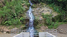 IMG_9827.JPG