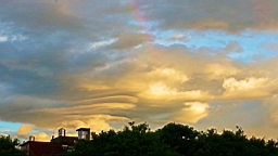 20130624_183539.jpg