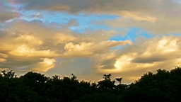 20130624_183546.jpg
