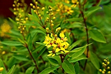 IMG_9994.JPG