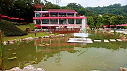 IMG_9996.JPG