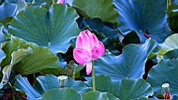 IMG_0025.JPG