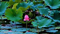 IMG_0032S.JPG