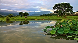 IMG_0070.JPG