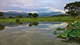 IMG_0072.JPG