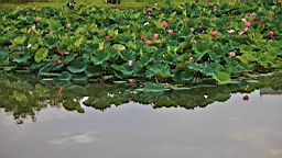 IMG_0077.JPG