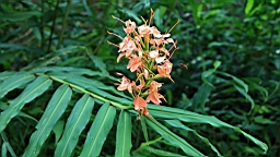 IMG_0004.JPG