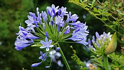 IMG_0063.JPG