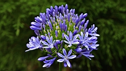 IMG_0069.JPG