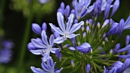 IMG_0071.JPG