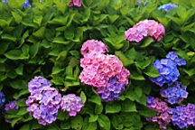 IMG_0088.JPG