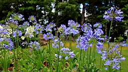 IMG_0641.JPG