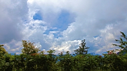 IMG_0837.JPG