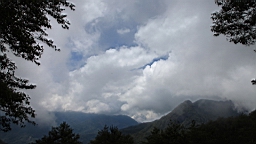 IMG_0936.JPG