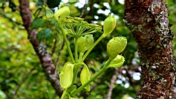 IMG_1102.JPG