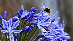IMG_1125.JPG