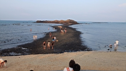 IMG_2901.JPG