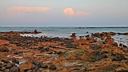 IMG_2919.JPG