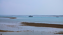 IMG_2985.JPG