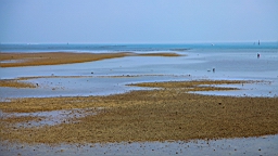 IMG_2986.JPG