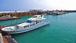 IMG_2987.JPG