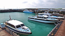 IMG_2988.JPG