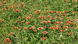 IMG_3004.JPG