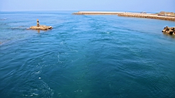 IMG_3030.JPG