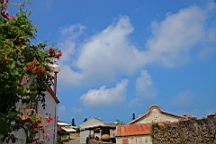 IMG_3111.JPG