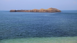 IMG_3145.JPG