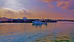 IMG_3182.JPG
