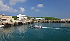 IMG_3190.JPG