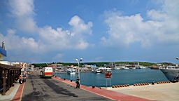 IMG_3211.JPG