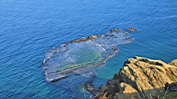 IMG_3252.JPG