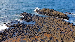 IMG_3263.JPG