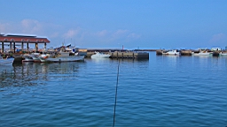 IMG_3278.JPG