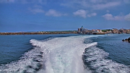 IMG_3309.JPG