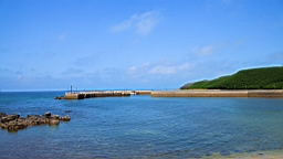 IMG_3336.JPG