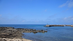IMG_3338.JPG