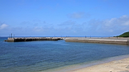 IMG_3340.JPG
