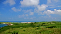 IMG_3346.JPG