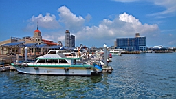 IMG_3377.JPG